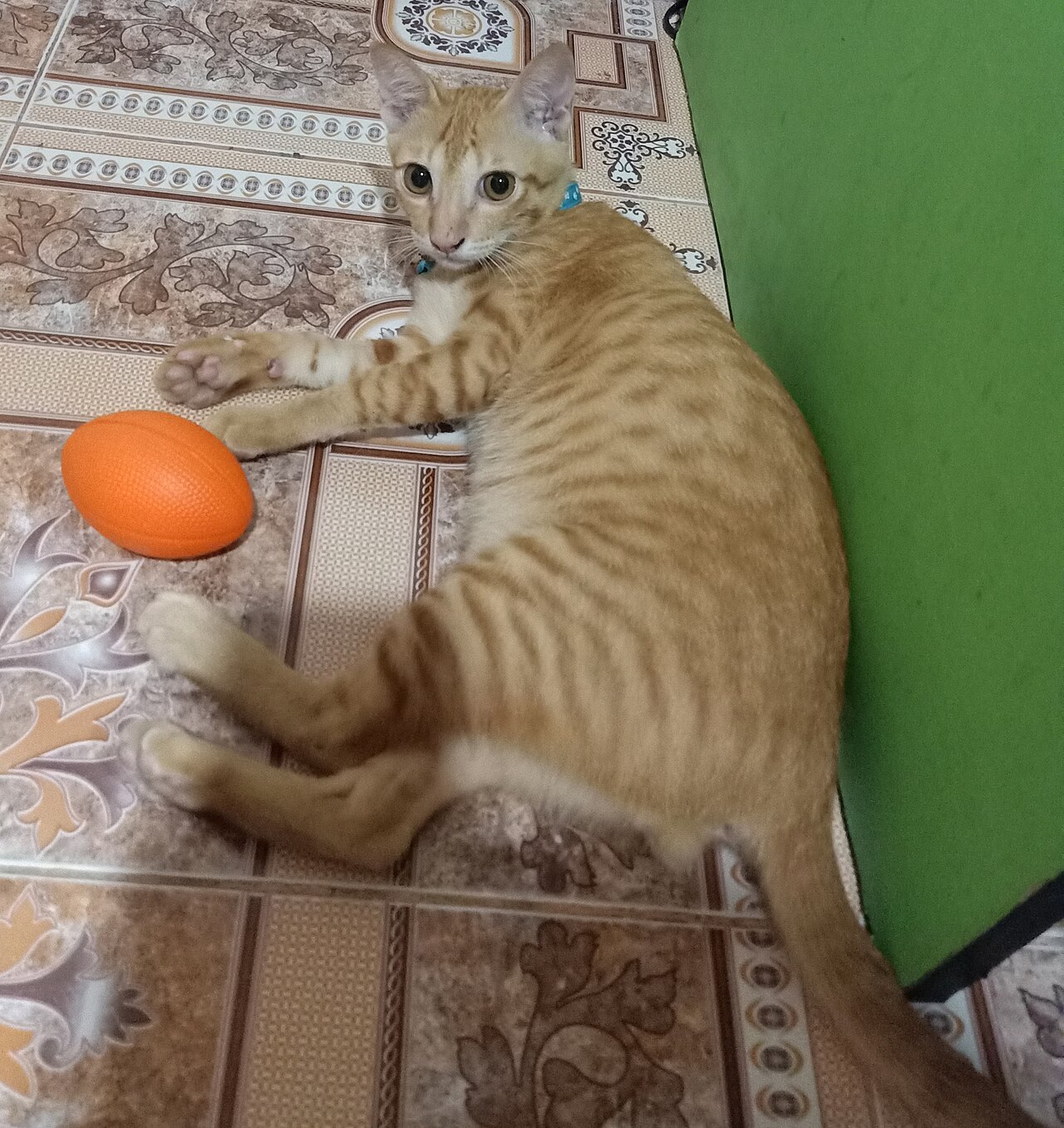 Press Release: Midnight Zoomies Logistics Acquires Second Laundry Basket