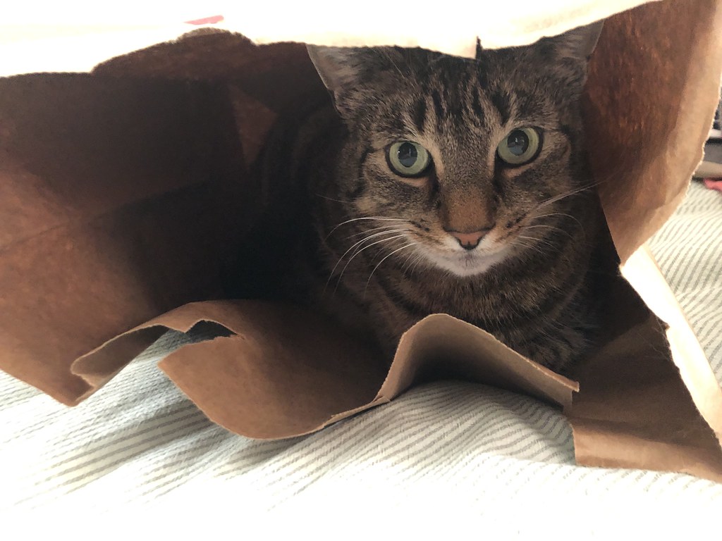 A Guide to Parcel Handling
